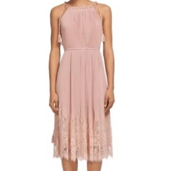 Whistles | Dresses | Whistles Lilian Pleated Mic Lacetrim Dress Pale Pink  Blush Midi Dress Sz 6